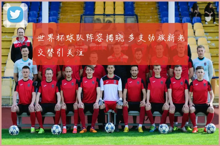 世界杯球队阵容揭晓 多支劲旅新老交替引关注