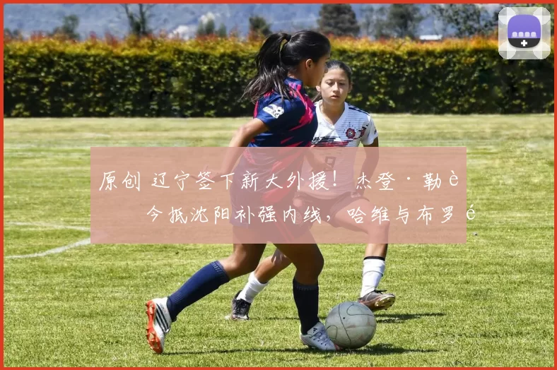 原创 辽宁签下新大外援!杰登·勒迪今抵沈阳补强内线,哈维与布罗金顿谁将离队?