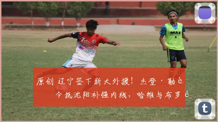 原创 辽宁签下新大外援!杰登·勒迪今抵沈阳补强内线,哈维与布罗金顿谁将离队?